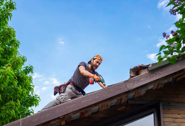 Best Chimney Flashing Repair  in Harmony Grove, CA